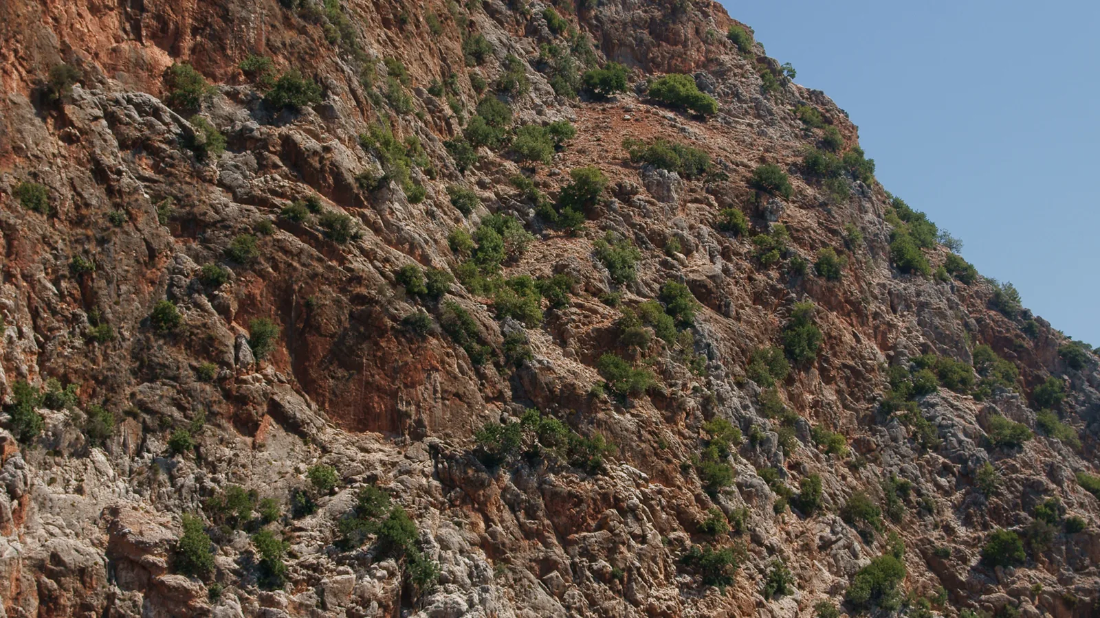 Alanya Tekne Turu 2026: Program, Koylar, Fiyatı Etkileyenler ve Rezervasyon