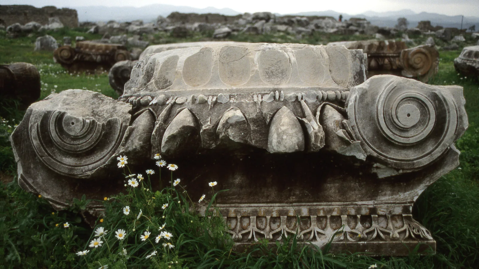 Magnesia Antik Kenti Artemis Tapınağına ait İyon sütun başlığı