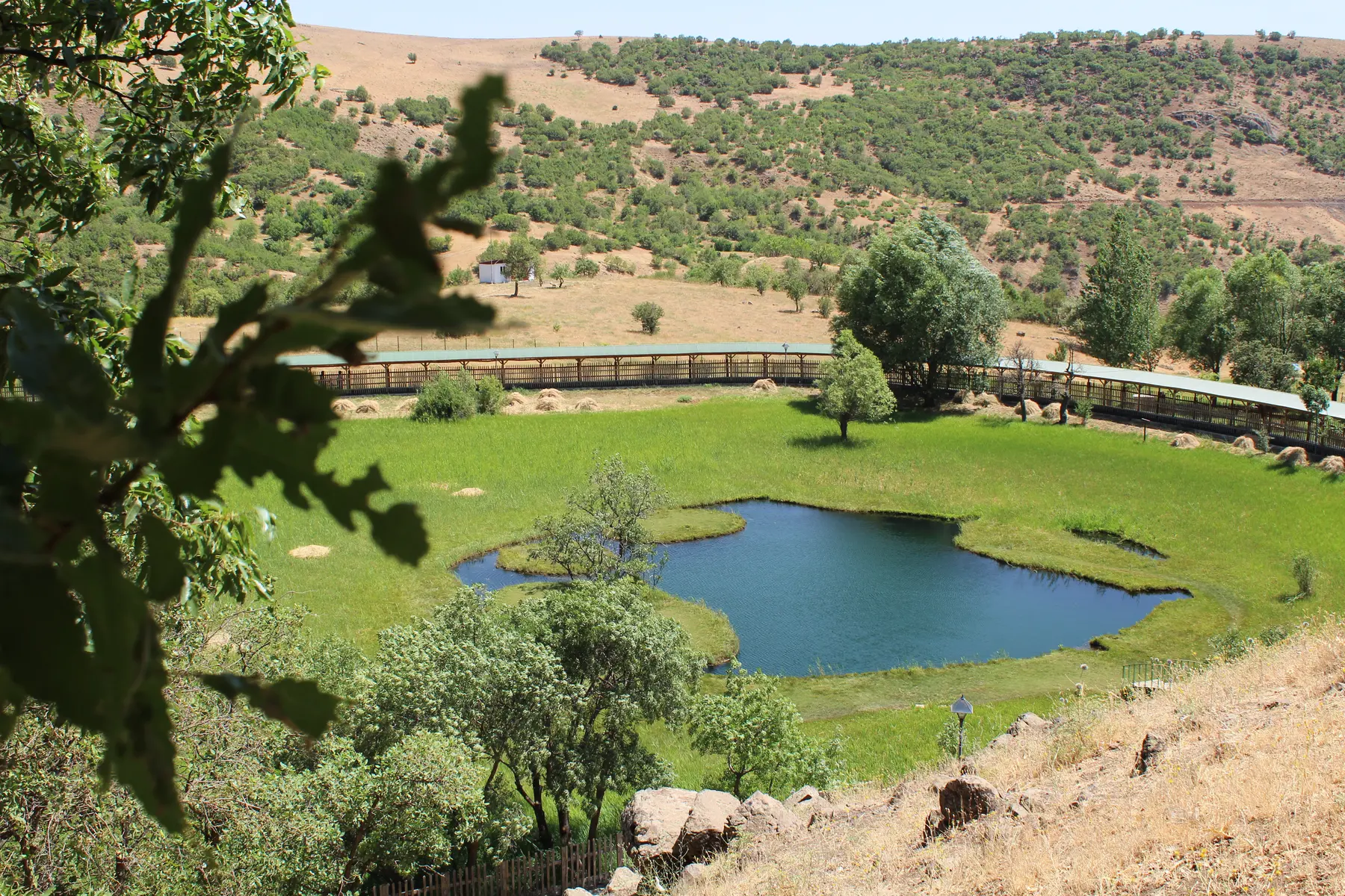 Yüzen Adalar Tabiat Anıtı