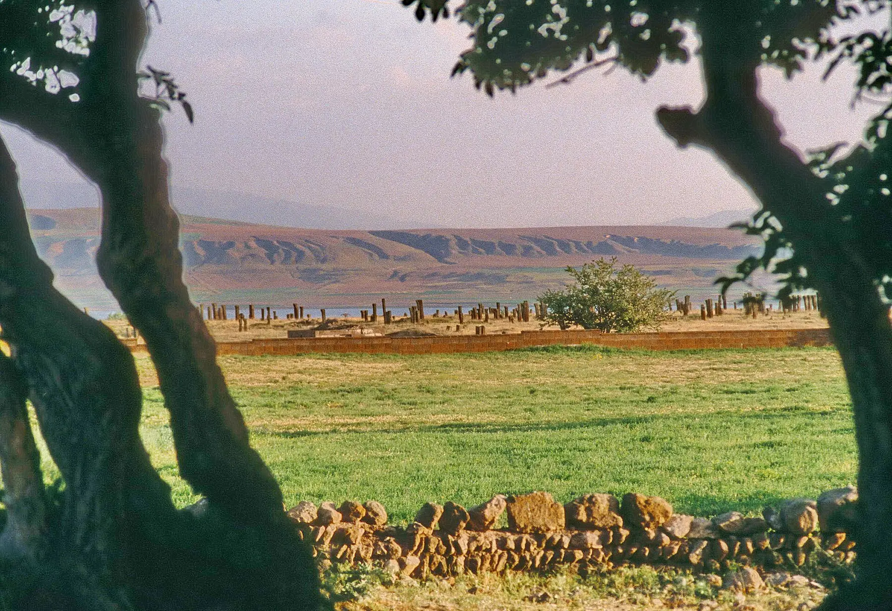 Ahlat Selçuklu Meydan Mezarlığı