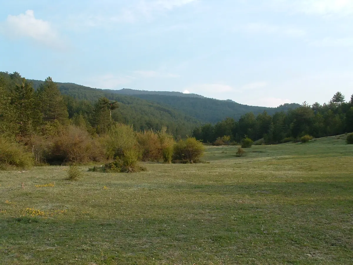 Mudurnu: Tarihî Evler ve Sakin Şehir Atmosferi
