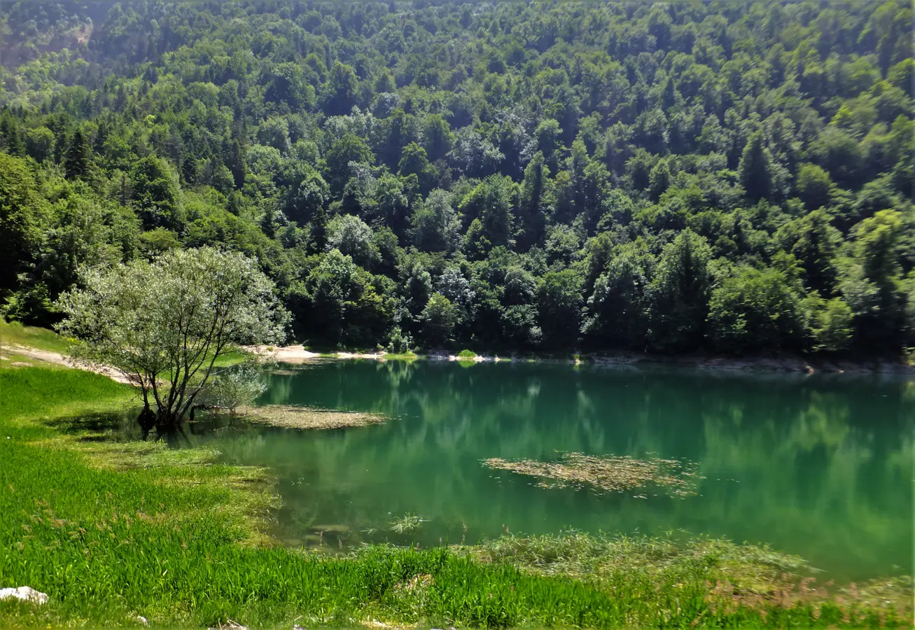 Sülüklügöl Tabiat Parkı