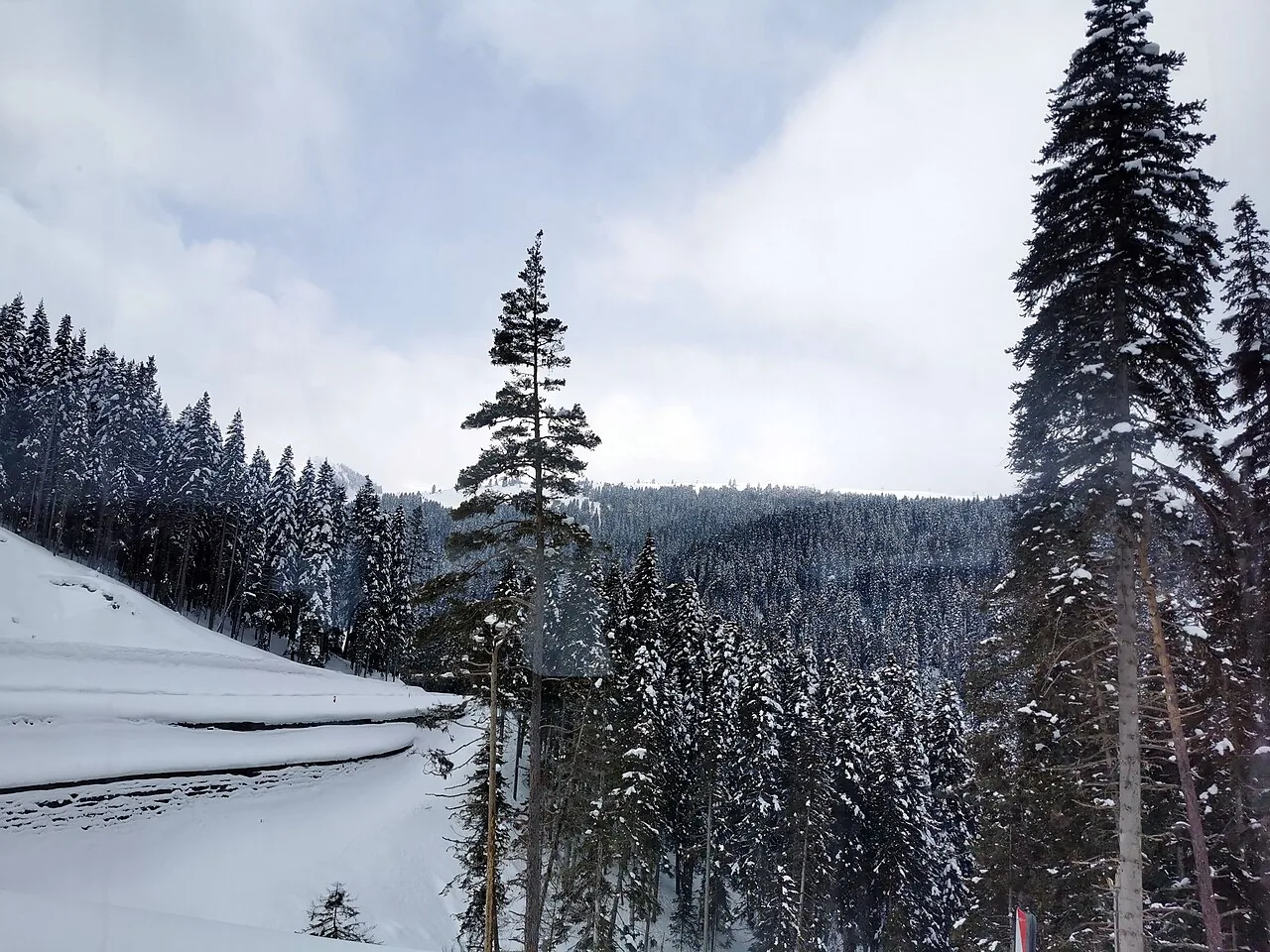 Ilgaz Dağı Milli Parkı karla kaplı orman gerçek fotoğrafı