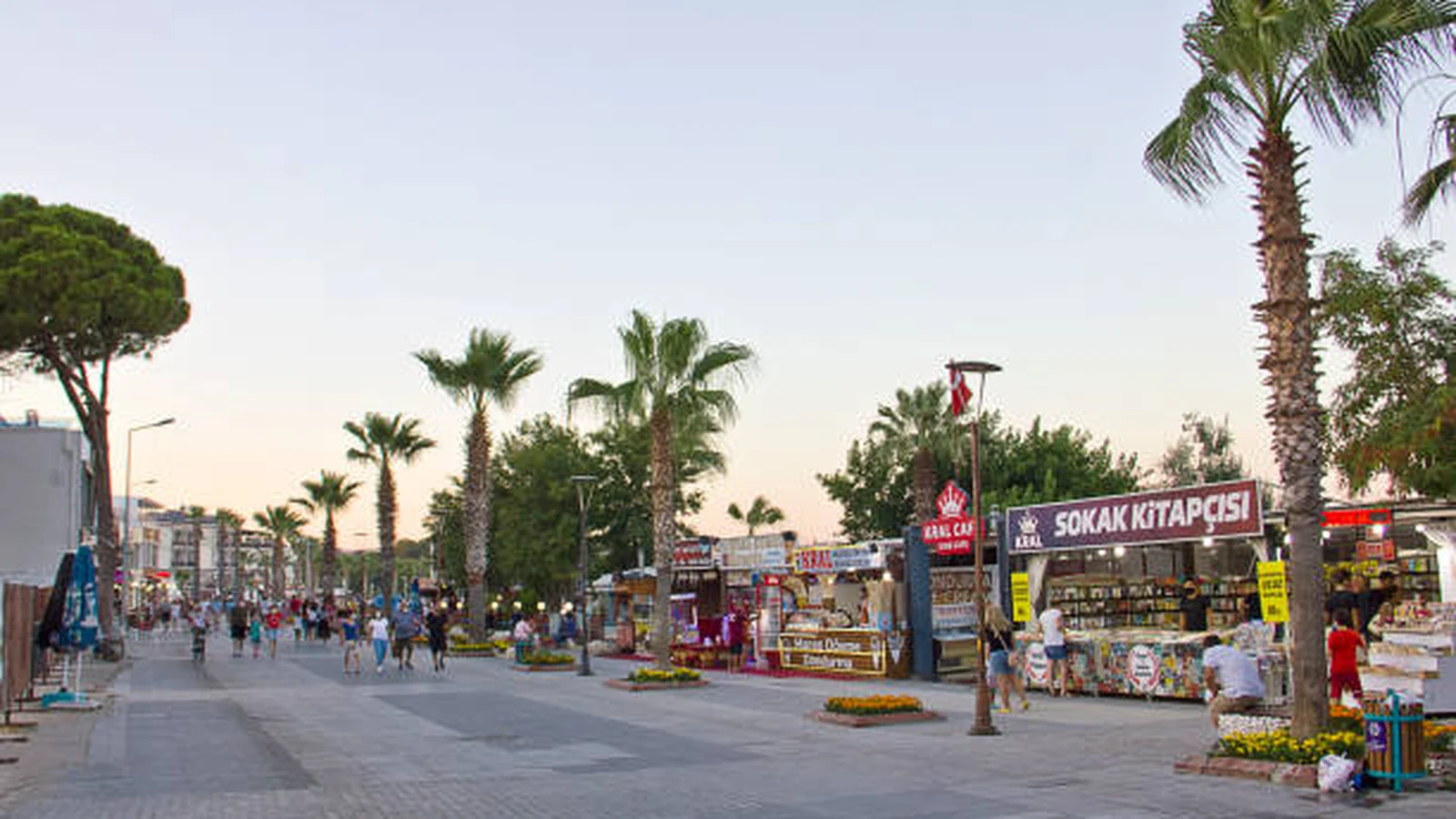 Didim merkezde palmiyeli yürüyüş yolu