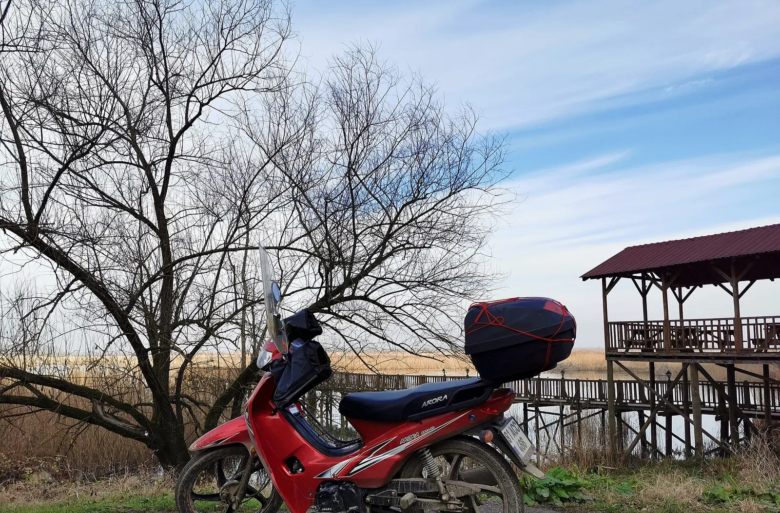 Efteni Gölü ve Kuş Gözlemi
