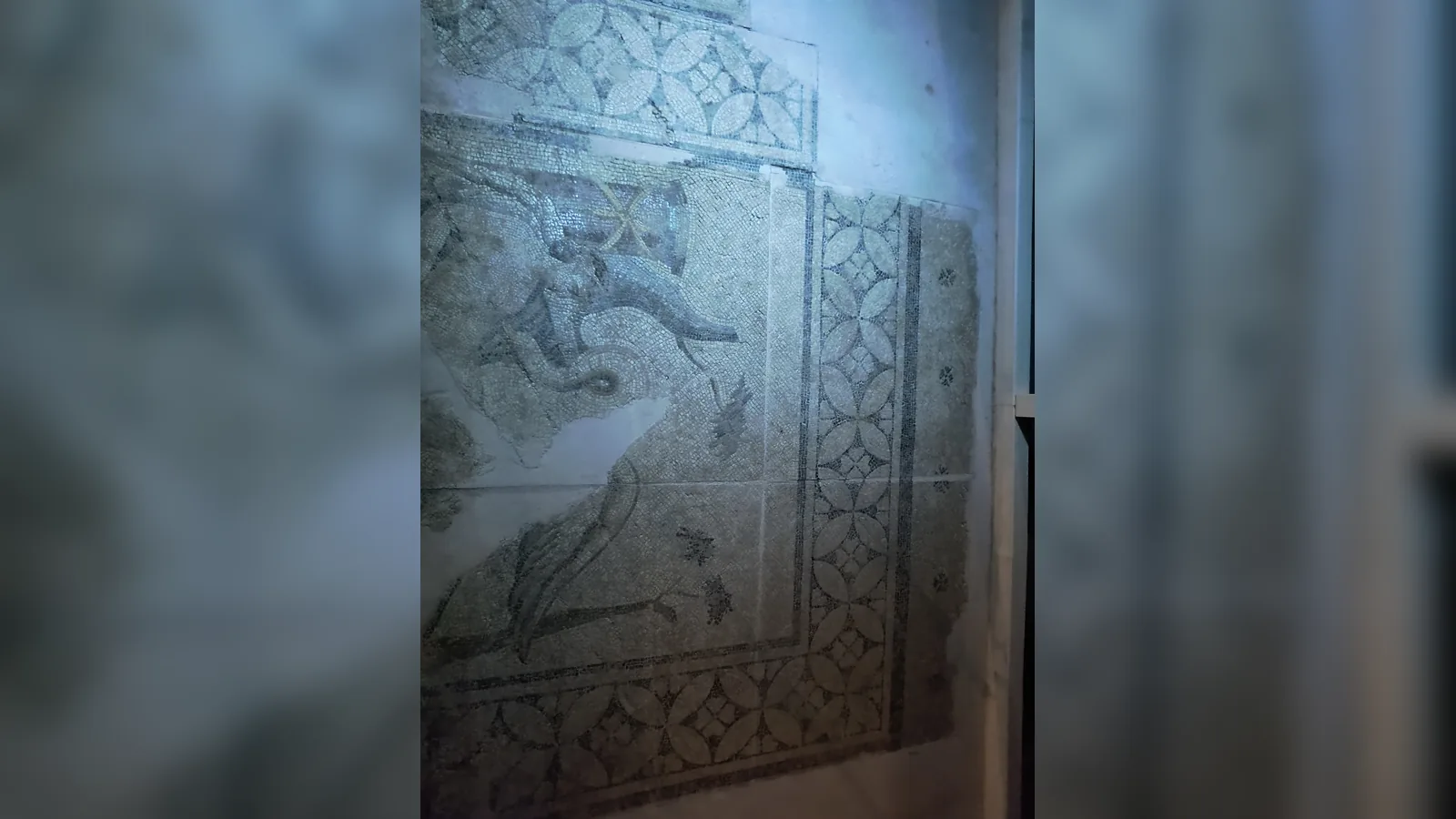 Aydın Arkeoloji Müzesi içinde sergilenen arkeolojik mozaik