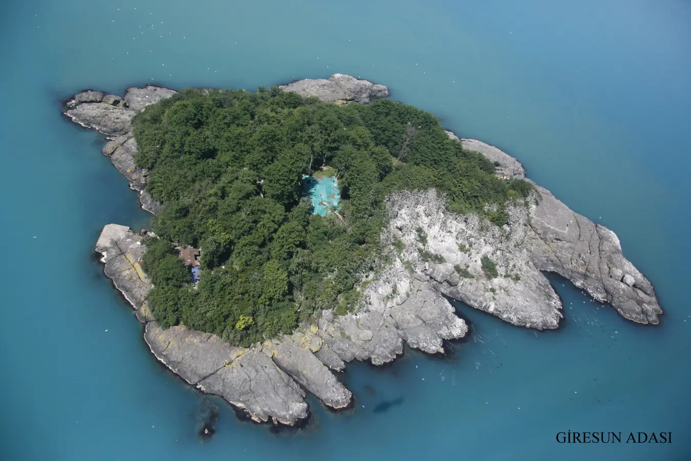 Giresun Adası ve Tekne Turu
