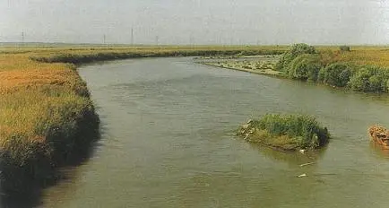 Aras Kuş Araştırma ve Eğitim Merkezi Çevresi