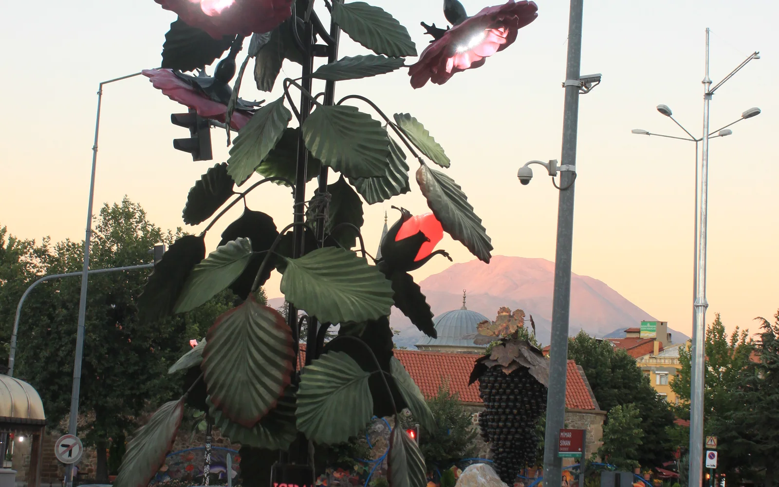 Isparta şehir rehberi kapak görseli