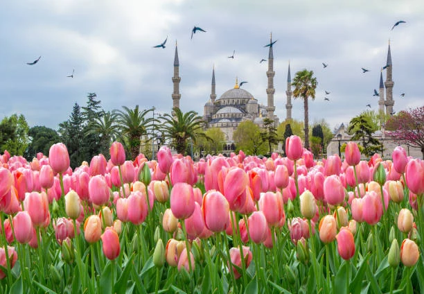 Sultanahmet Meydanı ve Sultanahmet Camii