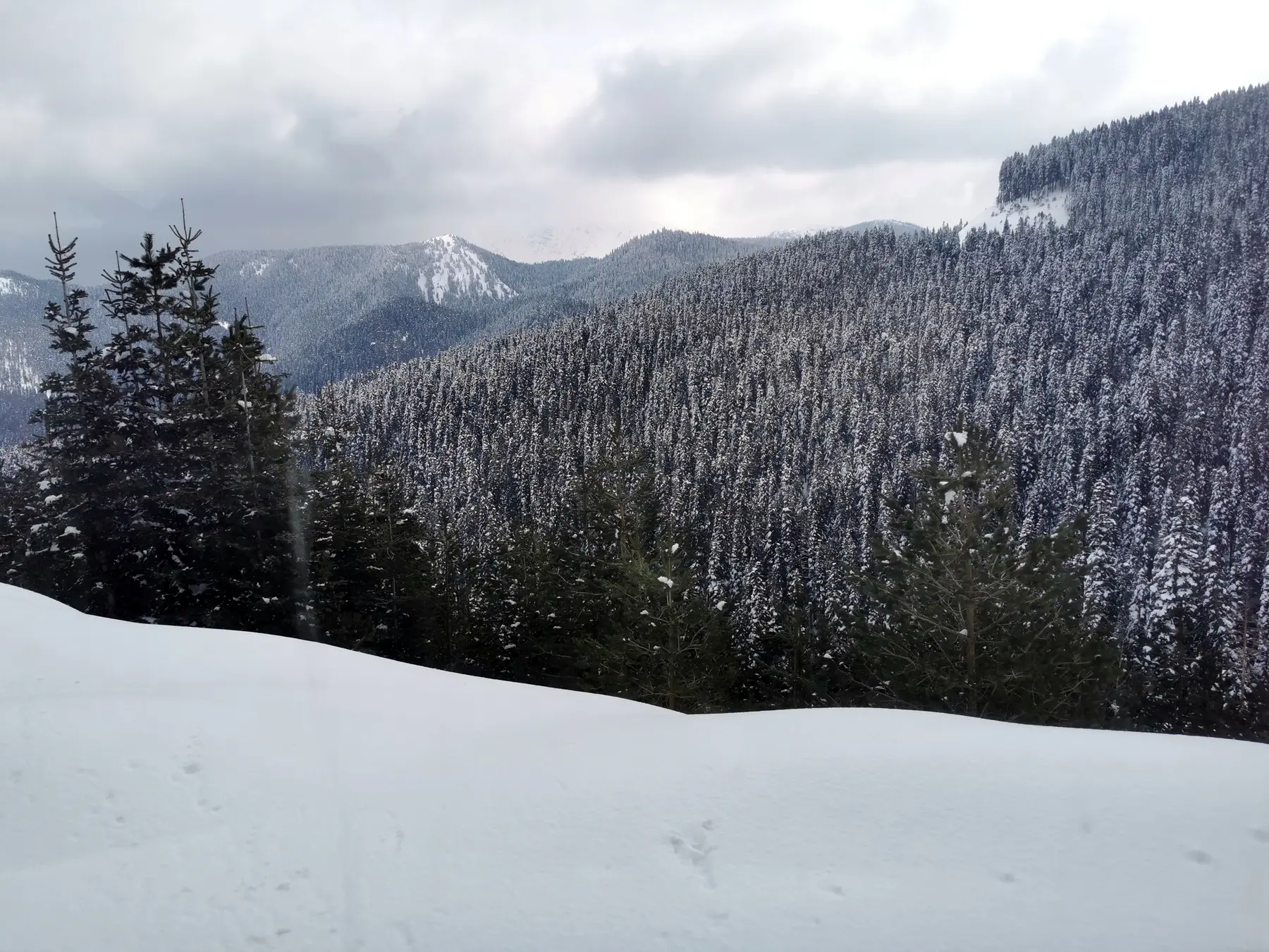 Ilgaz Dağı: Kayak, Orman ve Serin Yayla