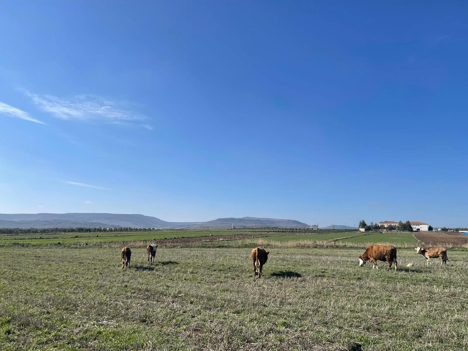 Kilis Karamelik Köyü gerçek fotoğrafı