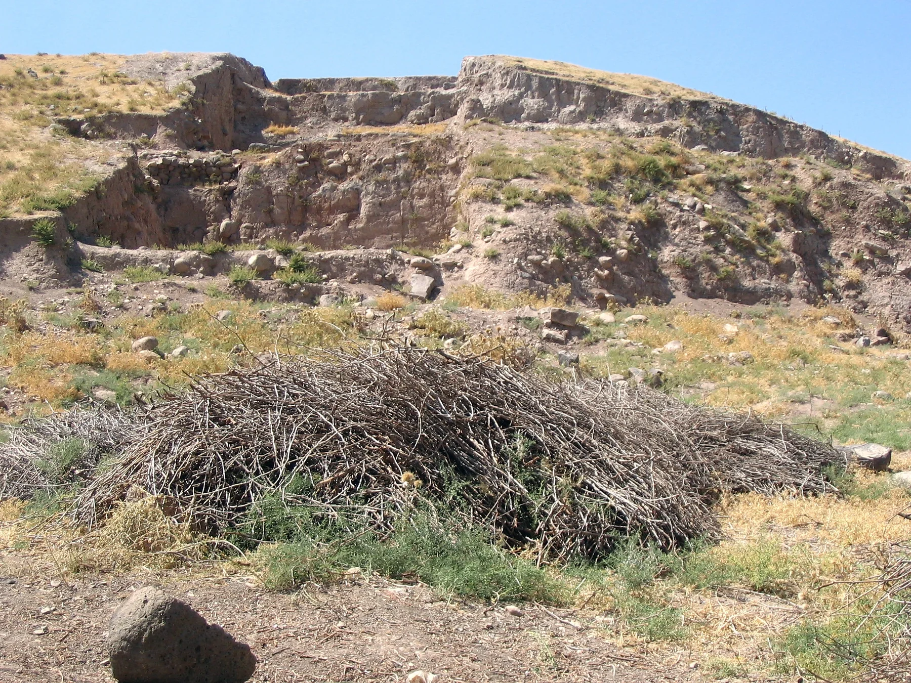 Oylum Höyük Kilis gerçek fotoğrafı