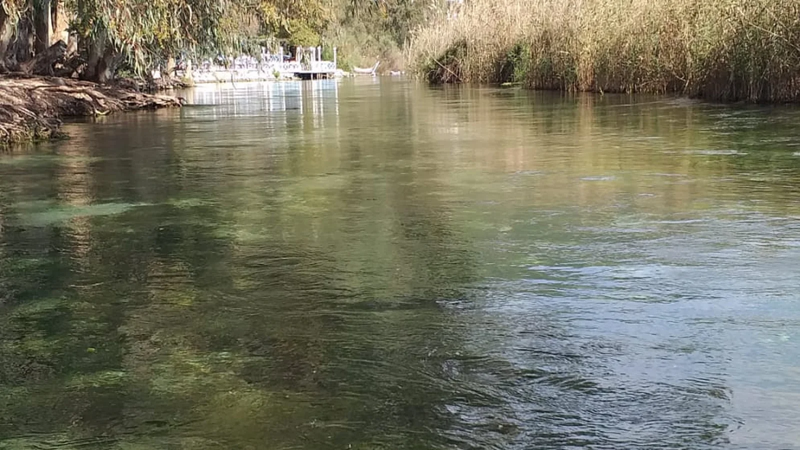 Akyaka Azmak Nehri üzerinde berrak su ve doğal yaşam