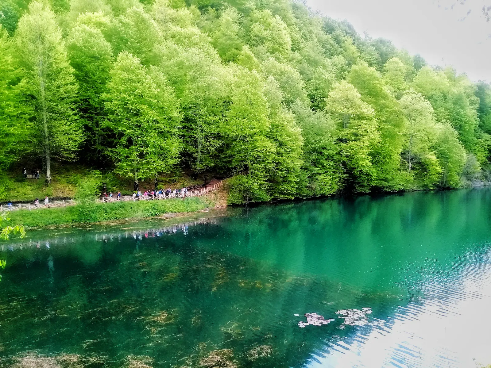 Ulugöl Tabiat Parkı: Orman İçinde Dört Mevsim