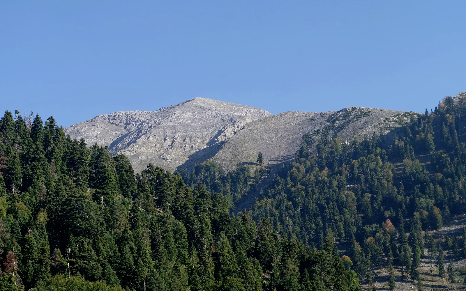 Düldül Dağı