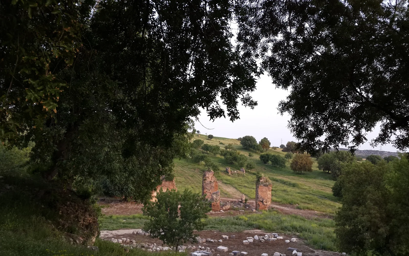 Kırmıtlı Kuş Cenneti ve Kastabala Sulak Alanı