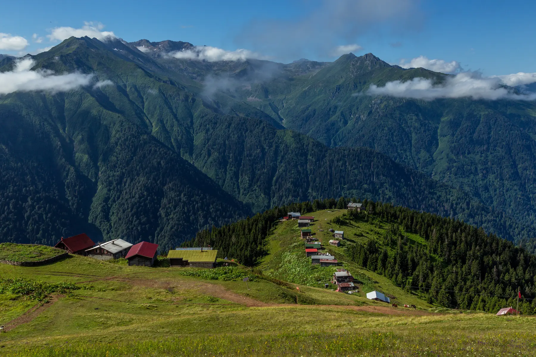 Pokut ve Sal Yaylaları