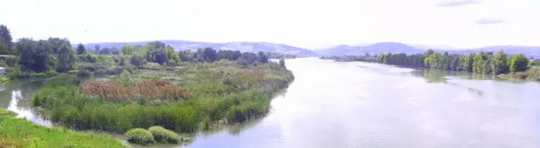 Kızılırmak Deltası Kuş Cenneti