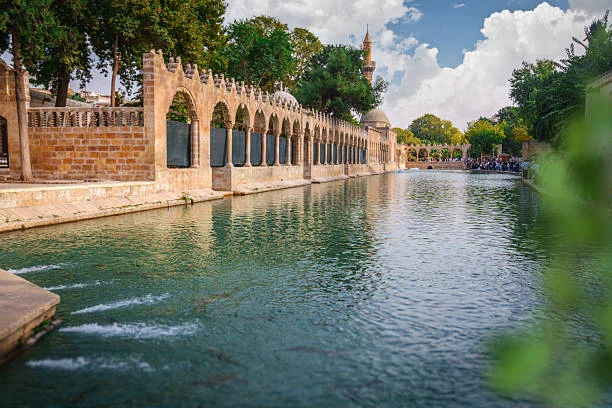 Şanlıurfa Bir Günlük Gezi Rotası: Balıklıgöl, Müzeler, Çarşılar ve Akşam Sıra Gecesi kapak görseli