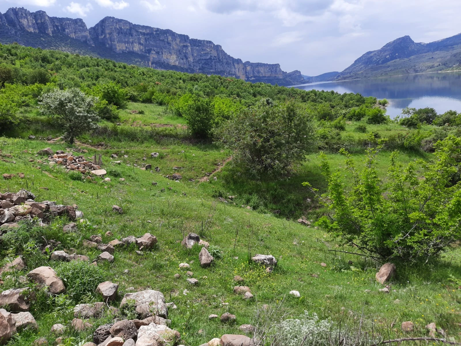 Siverek Takoran çevresindeki yeşil vadi ve su manzarası
