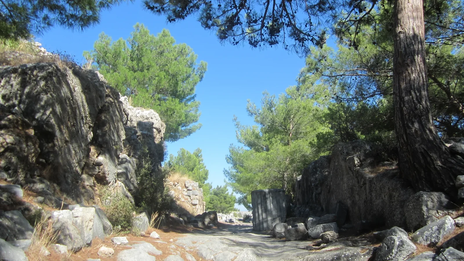 Priene Antik Kenti taş yol ve doğal gölgeli patika