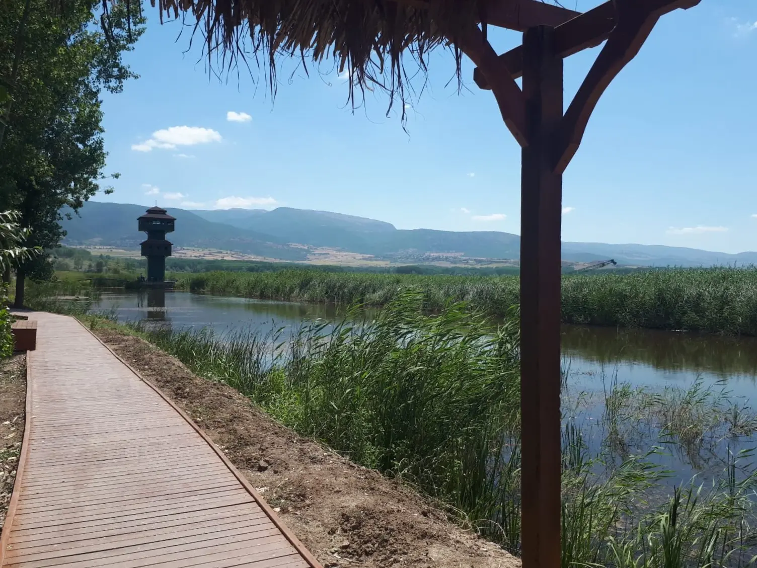 Kaz Gölü ve Kuş Gözlemi