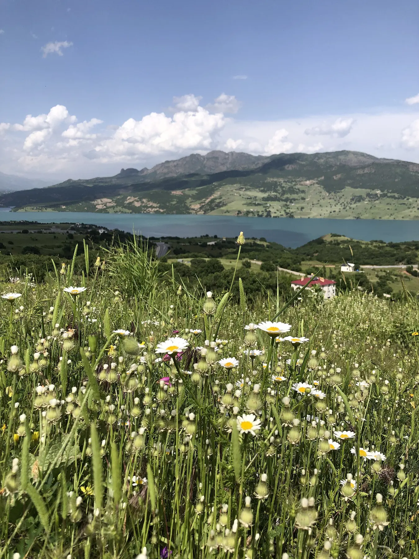 Munzur Vadisi Milli Parkı