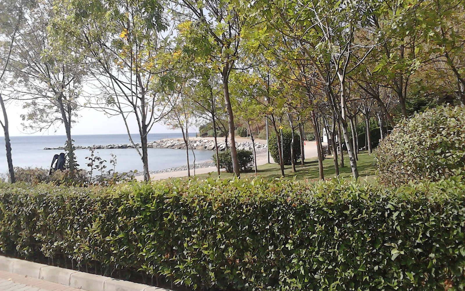 Yalova Gezilecek Yerler: Haritalı 30+ Durak, Termal, Şelaleler ve Rotalar